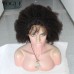 13x6 Lace Front Wigs 150% Density Brazilian Afro Kinky Curly 4B 4C Human Virgin Hair for Black Women Long Parting Lace Front Wig with Pre Plucked Natural Hairline